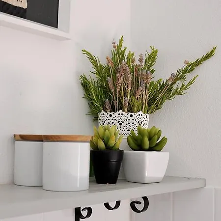 Casa18.55 - Time With History * São Brás de Alportel